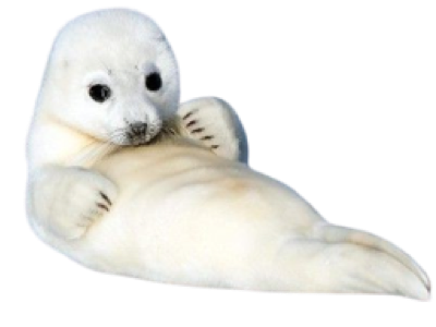 Seal