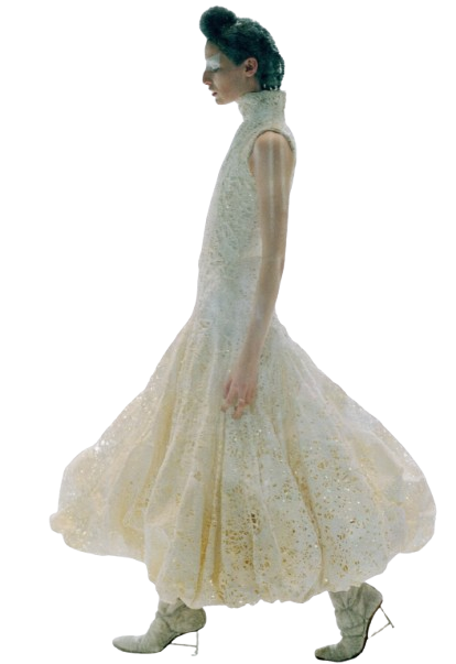 Alexander McQueen The Overlook